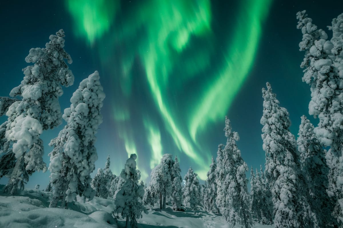 The Best Things To Do In Rovaniemi, Finland: "Top 10"