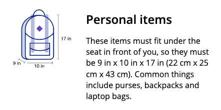United Airlines 1 Personal Item 