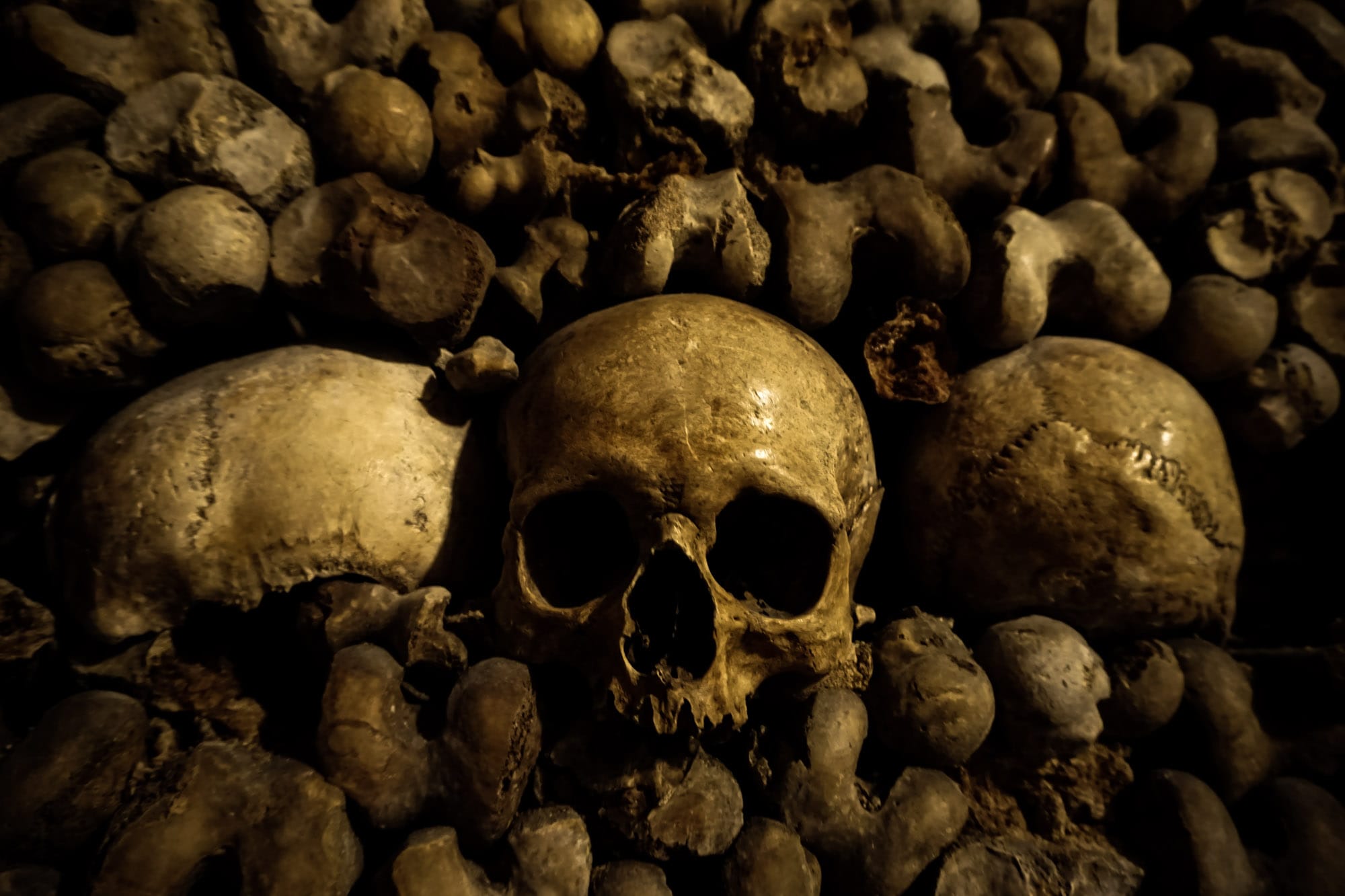 Human Skulls in the Paris Catacombs