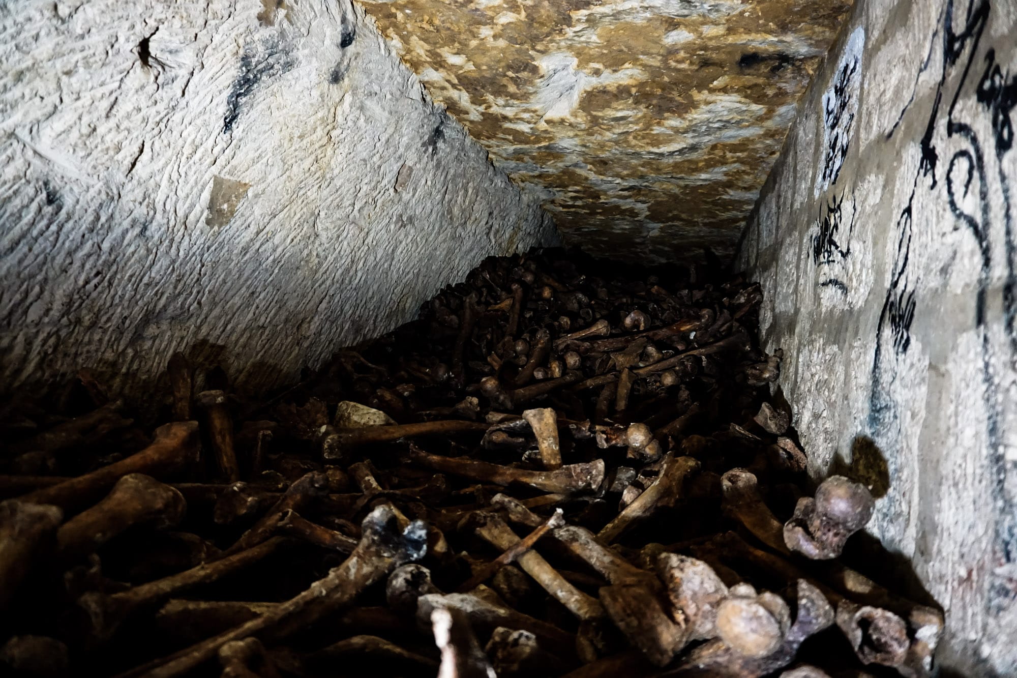 Illegal Tunnel In The Paris Catacombs Filled With Bones and Skulls