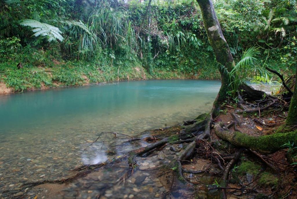 Heritage Lodge Daintree National Park