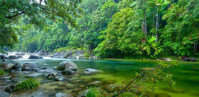 Mossman Gorge at Daintree National Park