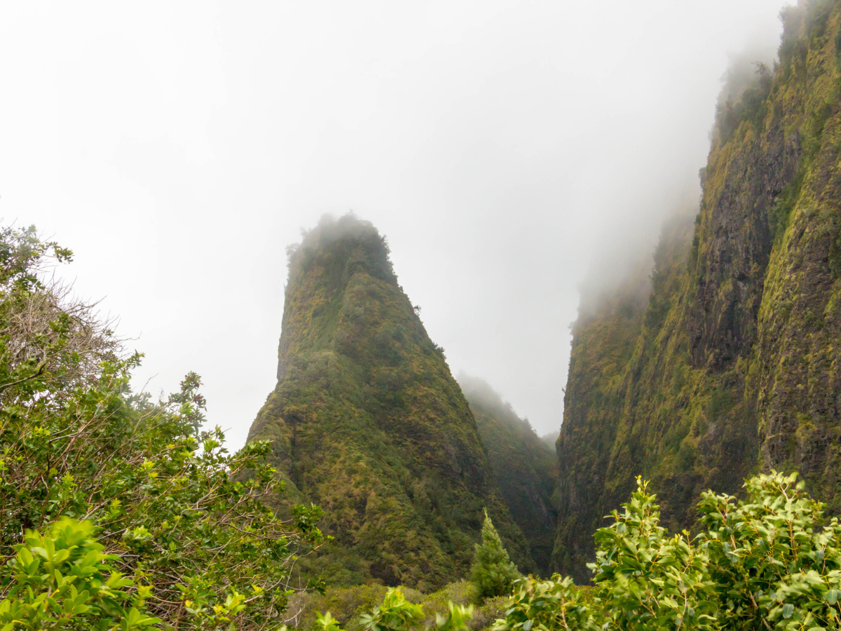 fog rising over the mountains in Iao Valley State Park, Maui