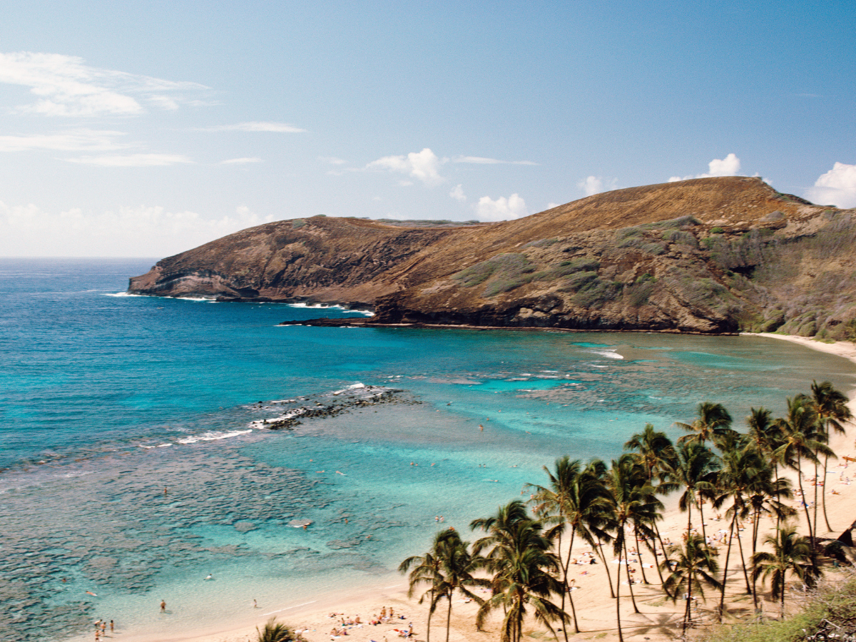 a beach in hawaii with palm trees and blue water in Kīhei, Maui Hawaii