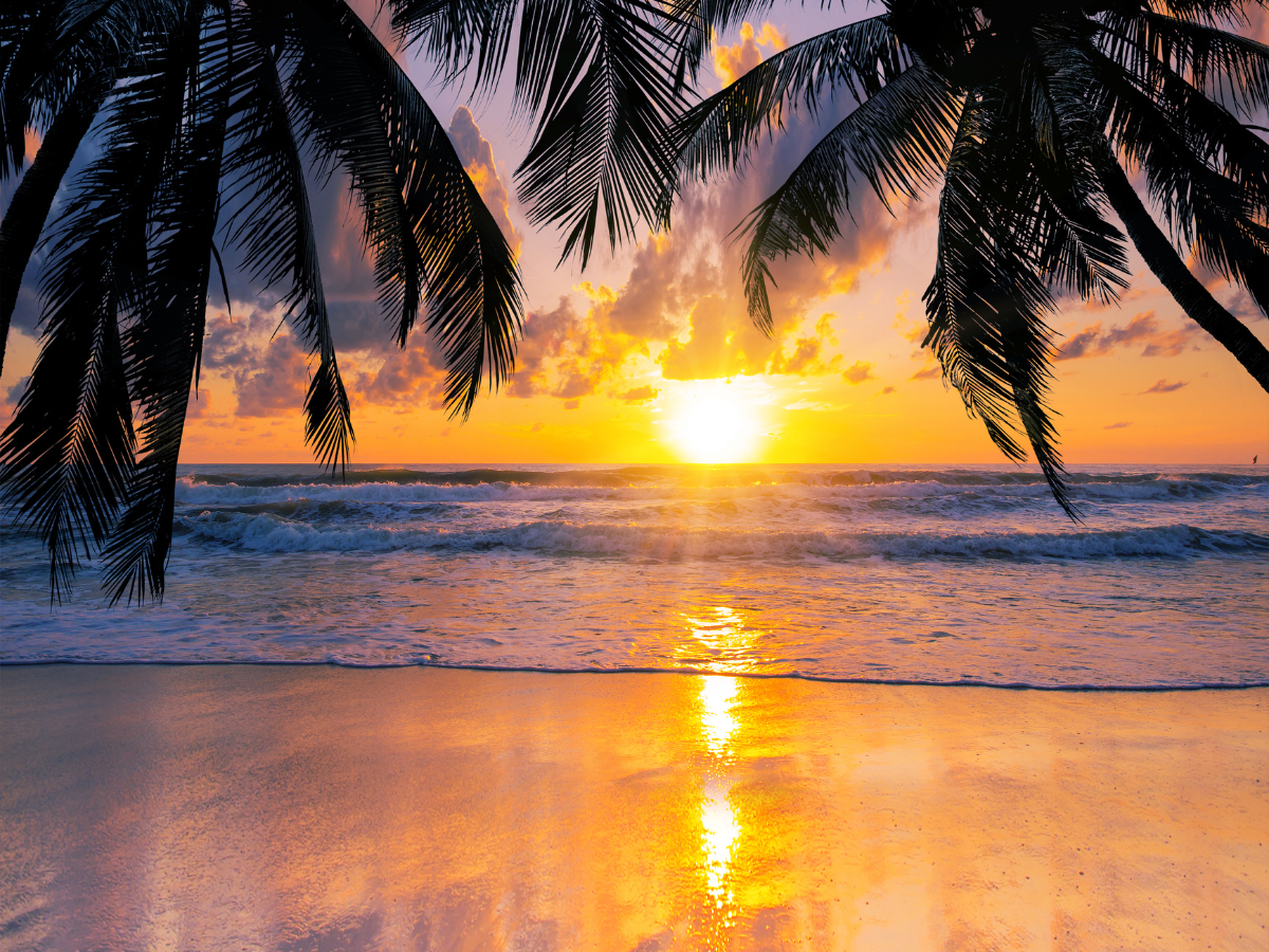 Koh Pha Ngan, Thailand beach at Sunset