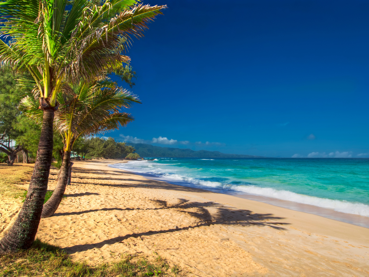 Ho'okipa Beach in Paia, Maui