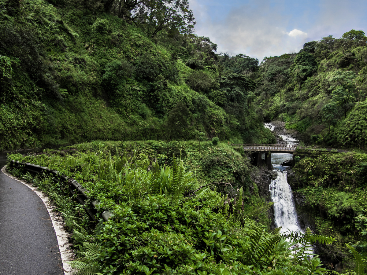 winding road with lush forrest and a bridge with water running under it on Road to Hana in Maui Hawaii