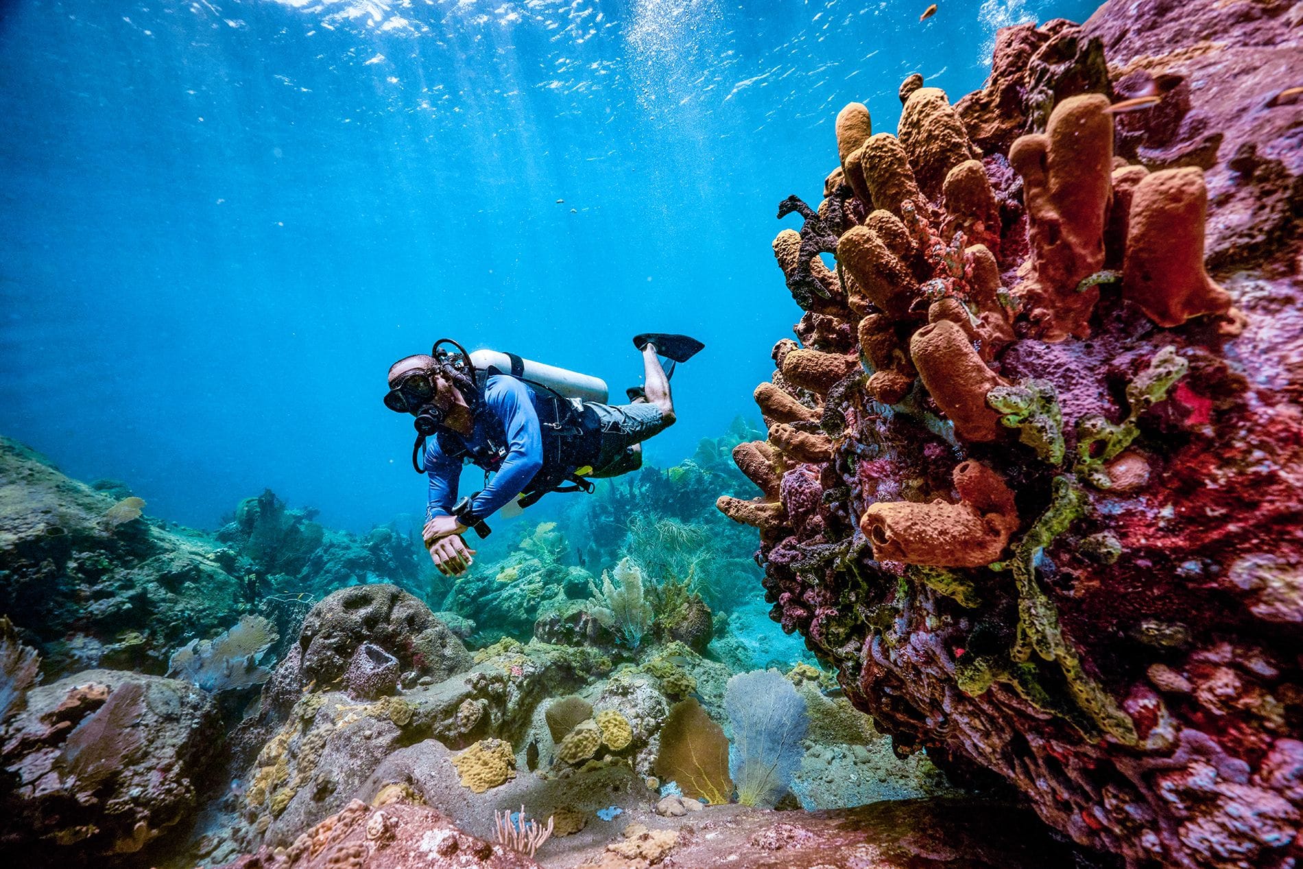 Underwater coral reef with a diver swimming around color coral at Anse Chastanet