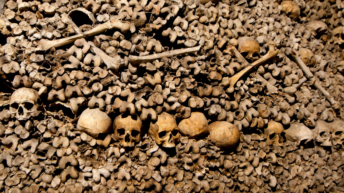 bones and skulls lining the walls beneath the streets of the Paris catacombs