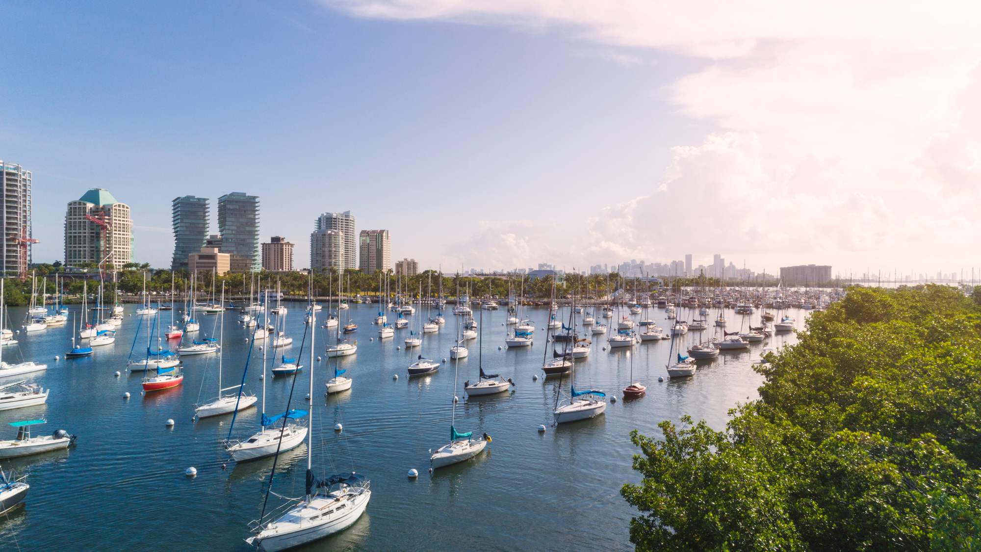 View of sailboats docked in the serene waters of Coconut Grove, Miami, with the city skyline and lush greenery in the background on a sunny day.