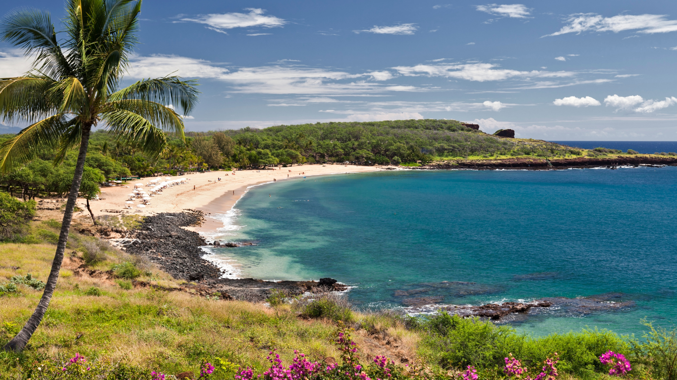 Palm tree overlooking a beautiful bay that has pretty white sand with beach goers in the distance in Manele Bay