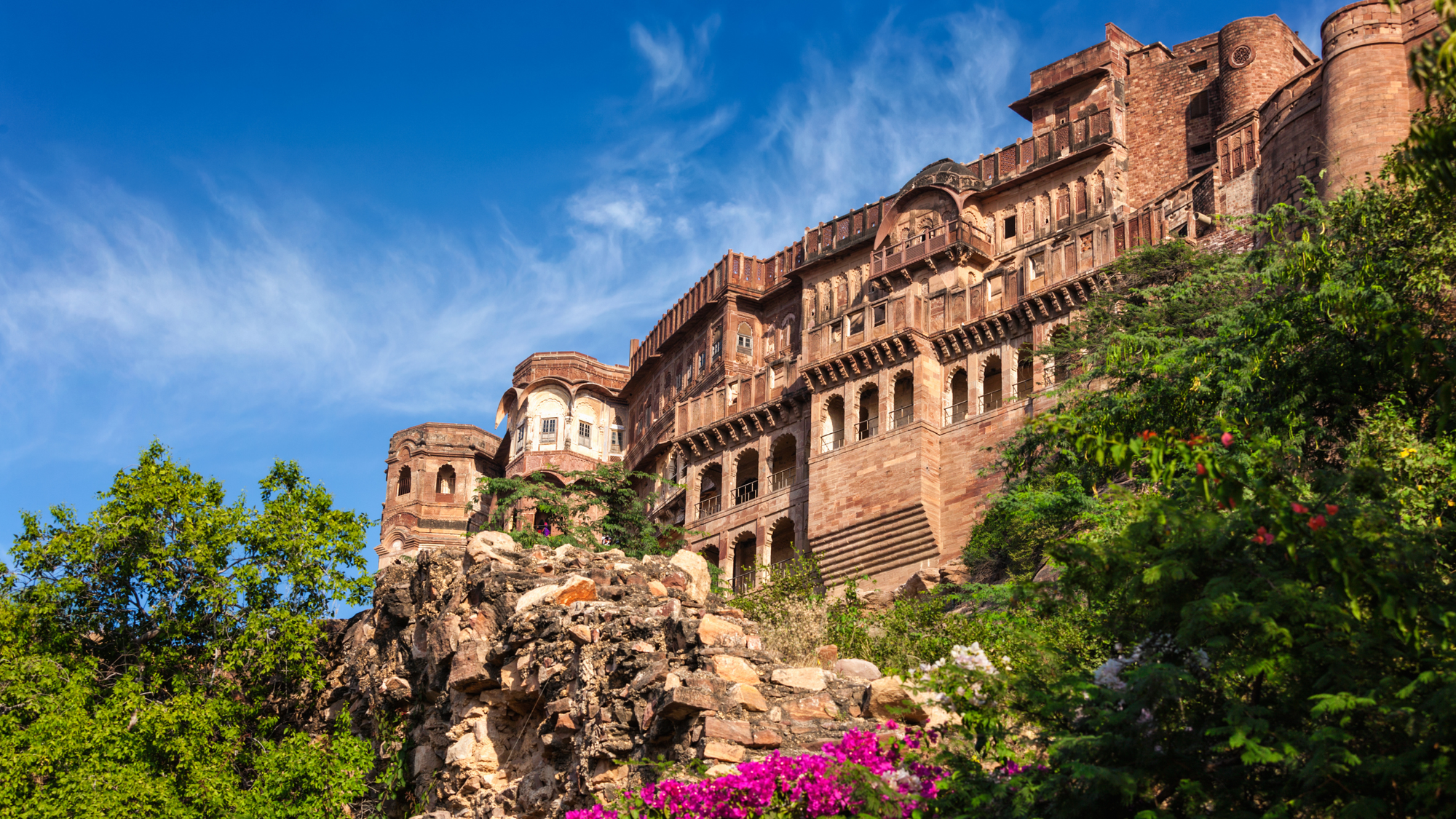 Mehrangarh Fort in Jodhpur, India, viewed from below with pink flowers and trees framing the massive stone walls