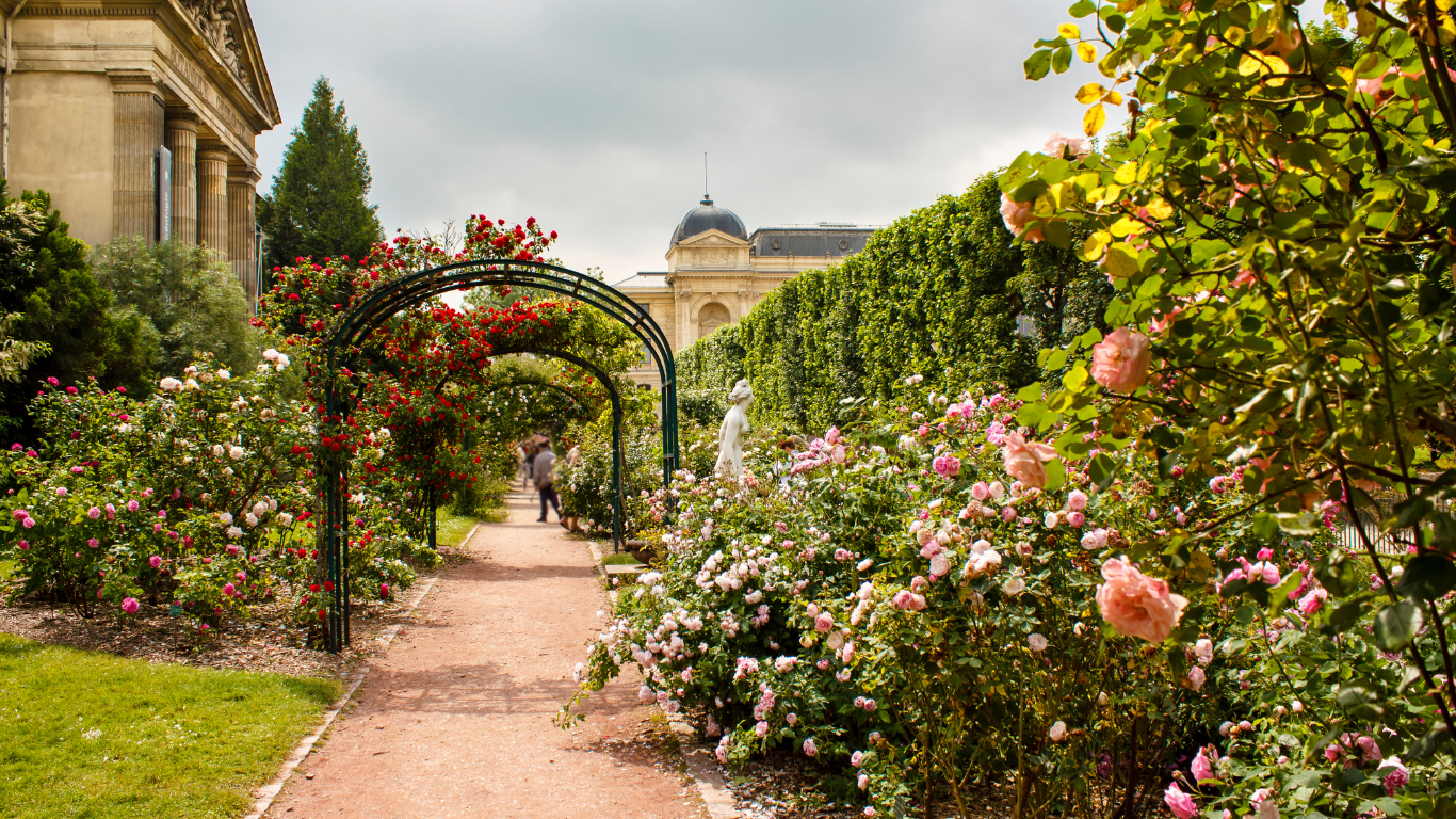 many different colored roses in a garden in Paris in the springtime with people walking on a walkway through the garden enjoying themselves 