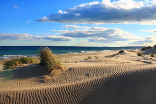 beautiful sand dunes with the ocean in the background at Plage de l’Espiguette