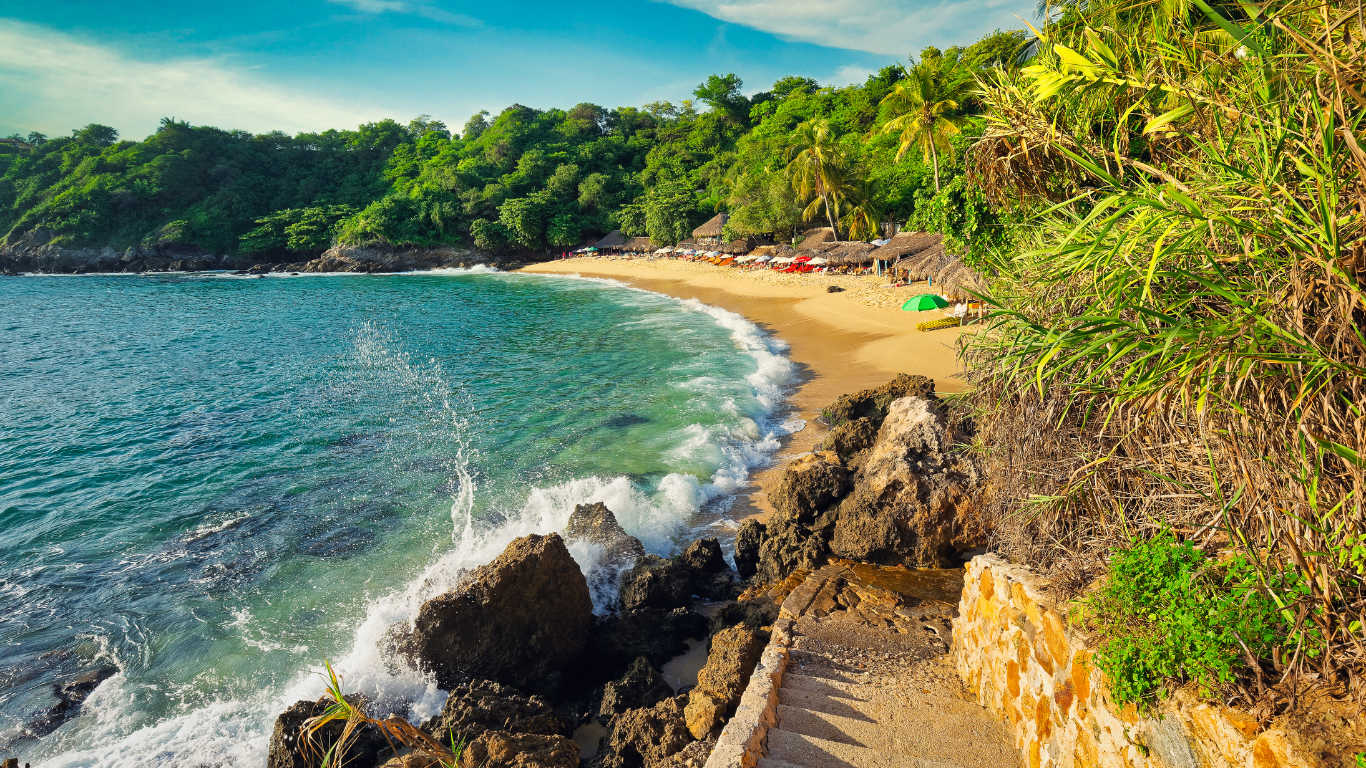 horseshoe looking beach with clear water and waves washing on tan colored sand with palm trees and jungle behind the beach at Playa Carrizalillo in Mexico