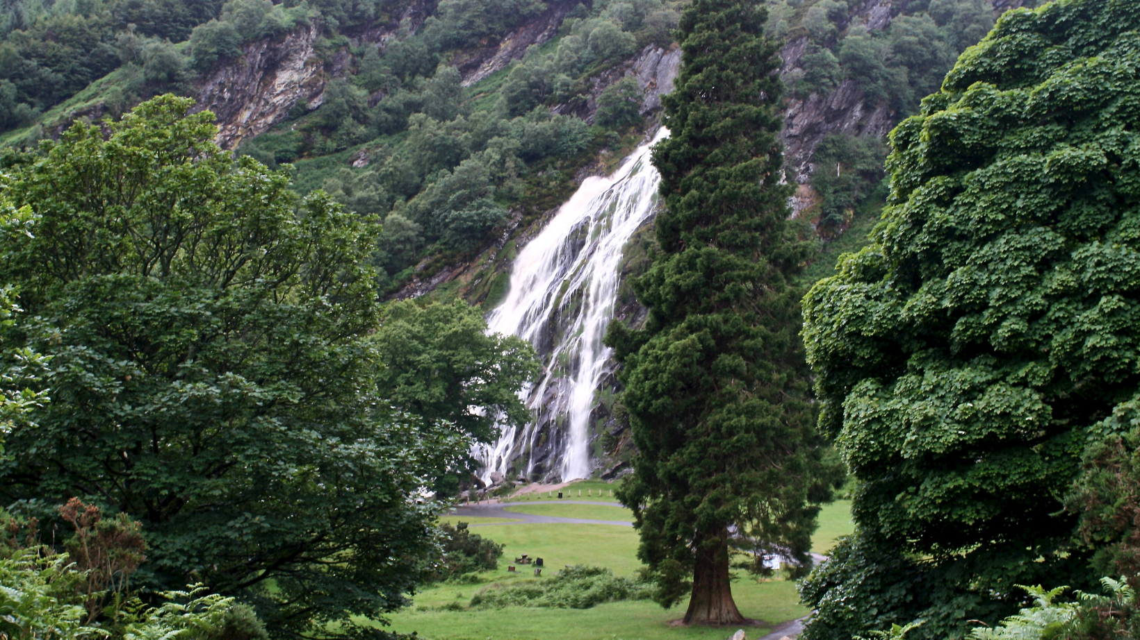 waterfall with lots of trees at Powerscourt Estate and Gardens