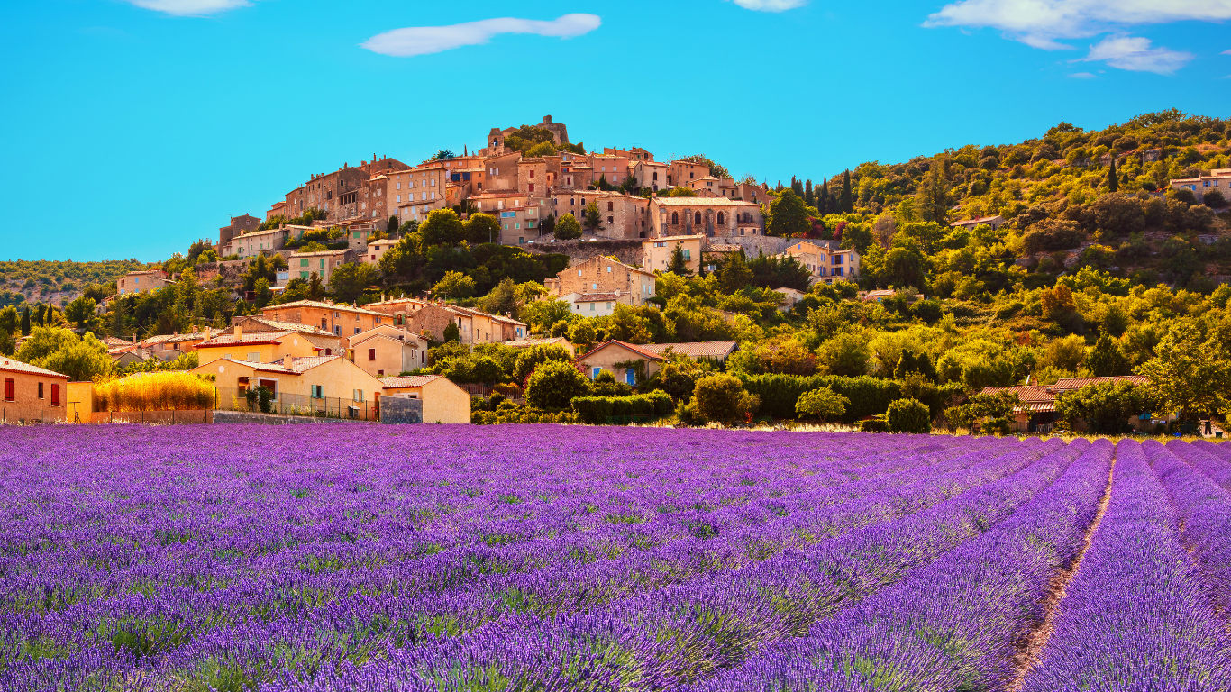 Bright Lavender Fields with a beautiful hillside village in the background in Provence, France