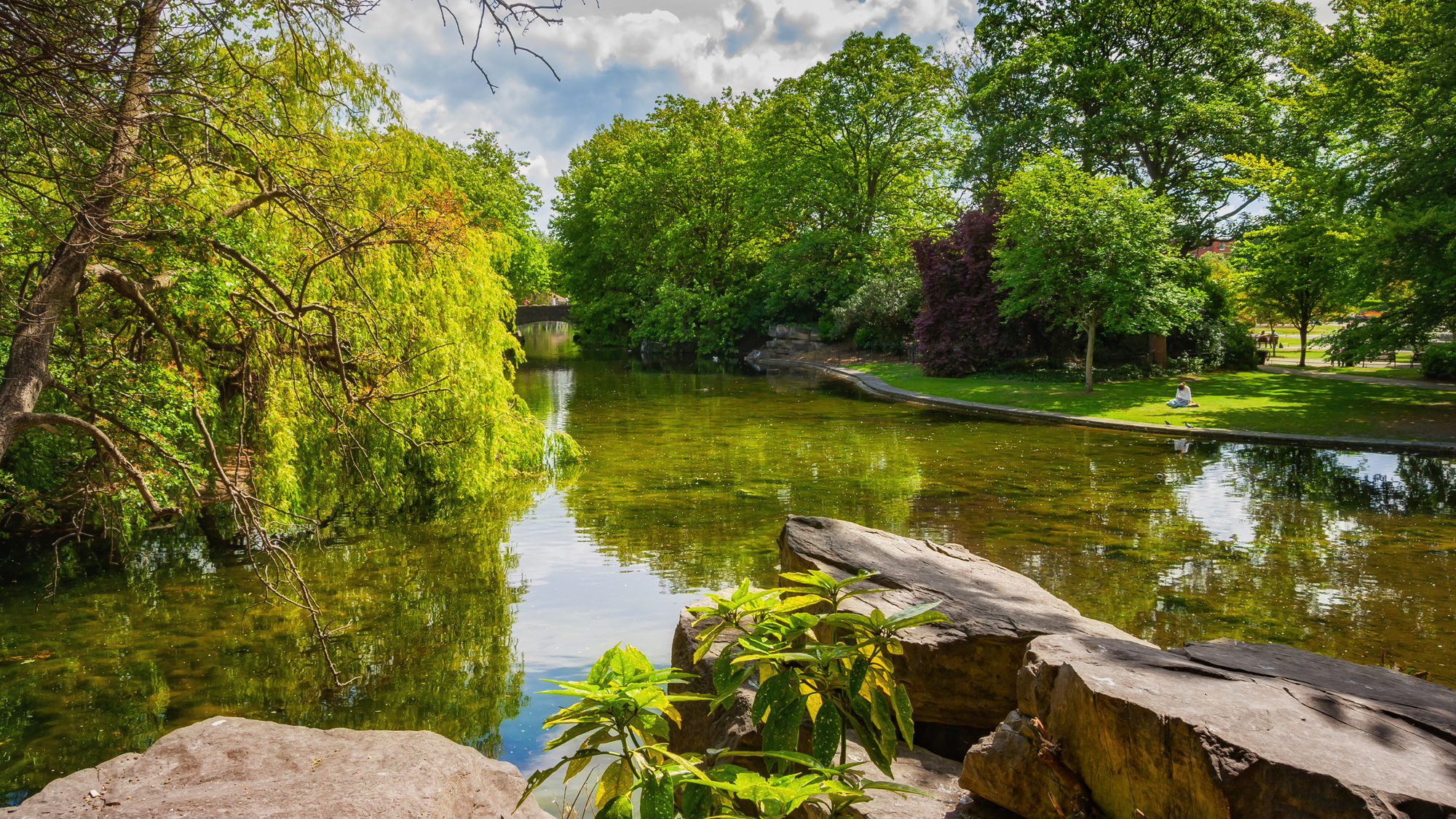 A serene pond in St. Stephen’s Green, Dublin, Ireland, surrounded by lush greenery and overhanging trees, with rocks in the foreground and a person sitting on the g