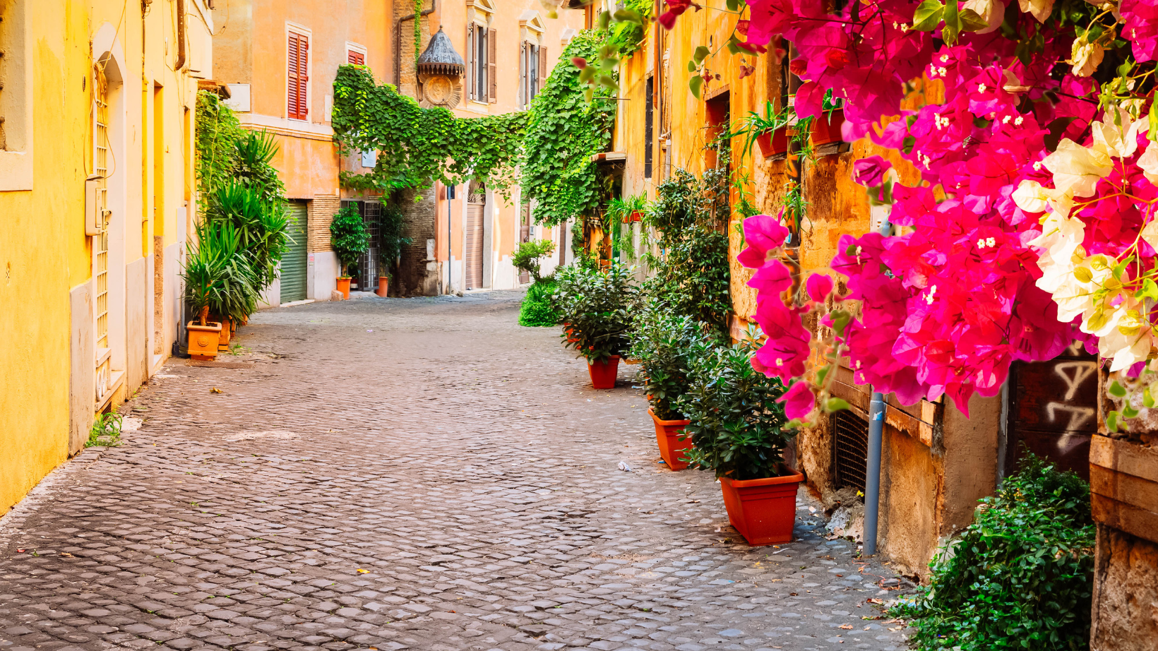 yellow and pink flowers hanging from windows over cobblestone streets in the Trastevere neighborhood in Rome