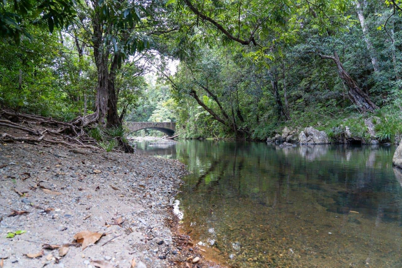 River running and crossing under a bridge surrounded by jungle