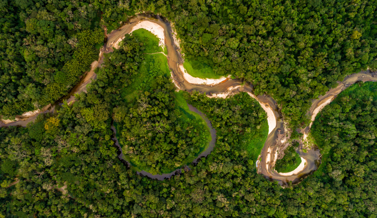 Ariel View Of the Peruvian Amazon Rain Forrest and River