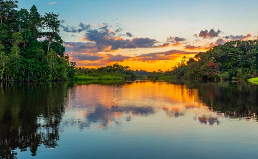  the amazon river as calm as glass at sunset with lush trees on each side of the river. 