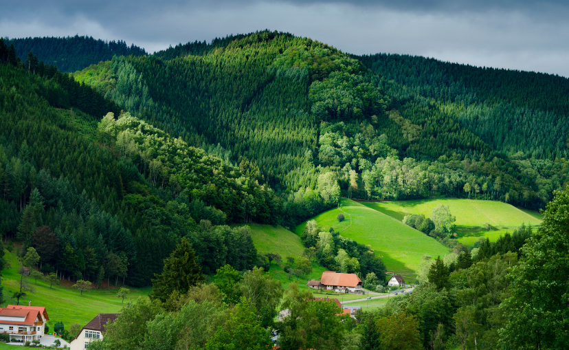 Black Forest Mountain Range in Germany