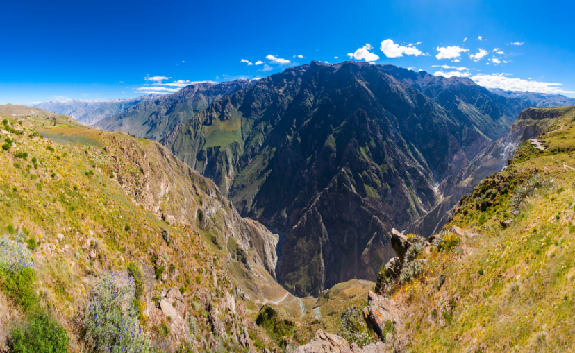 looking off the side of a massive canyon with grass coving various parts of the mountains. 