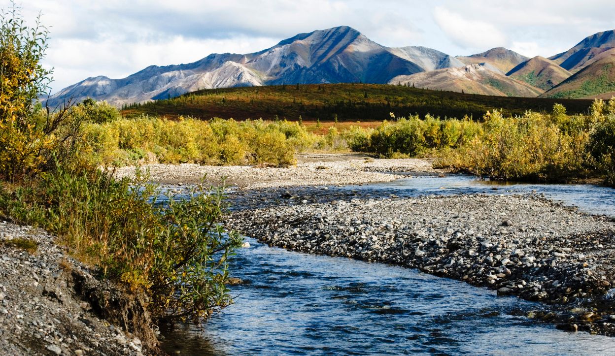 Denali National Park, USA