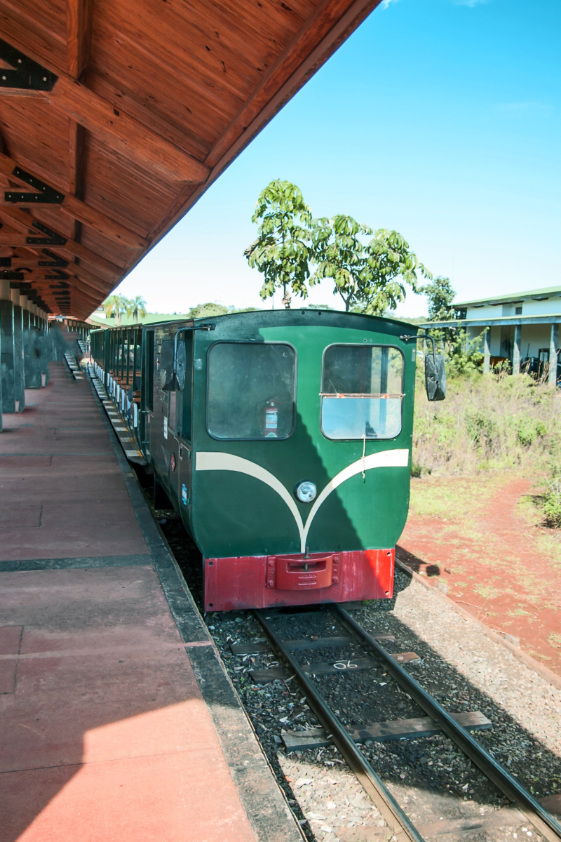 Eco Jungle train stopped at a station