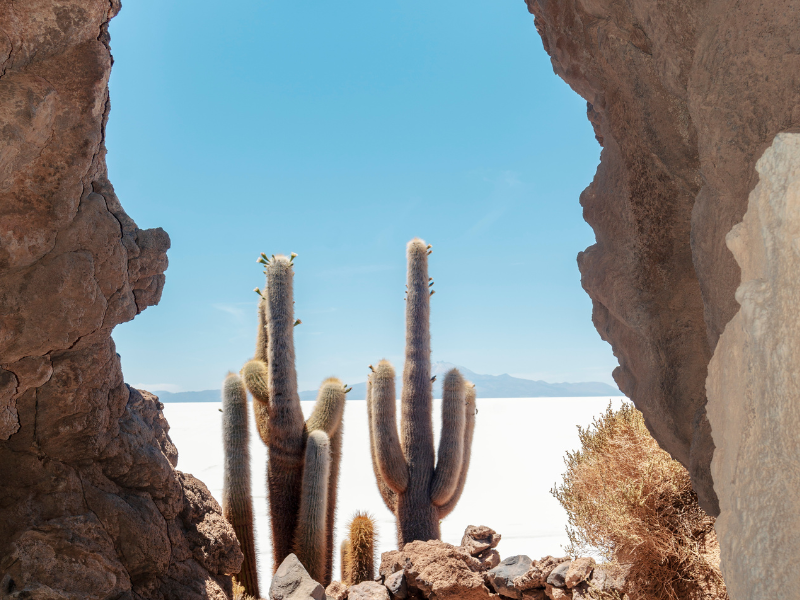 Cactus seen through hole in the rocks near Bolivia's Salt Flats on Incahuasi Island