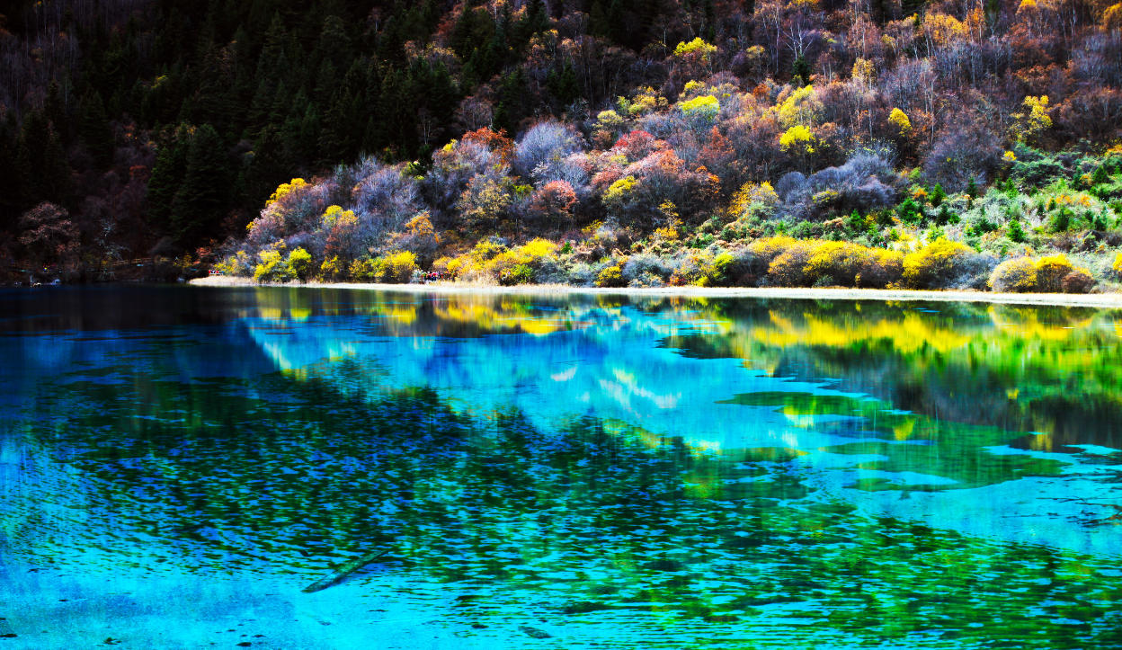 clear blue water lake at Jiuzhaigou National Park, China