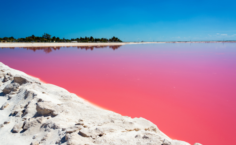 really calm large body of bright reddish pink water surrounded by white sand beaches at Laguna Colorada.