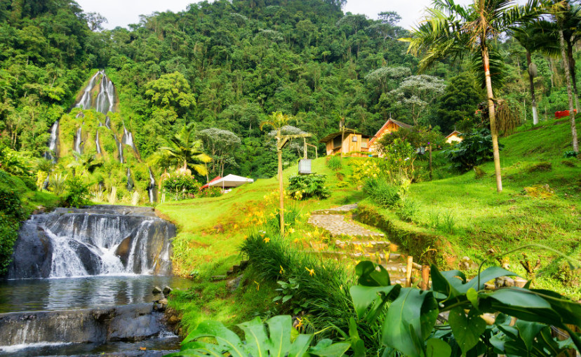 waterfall near Near Manizales in Colombia, surrounded by lush green grass and palm trees. 