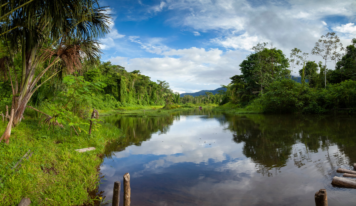 Manu National Park