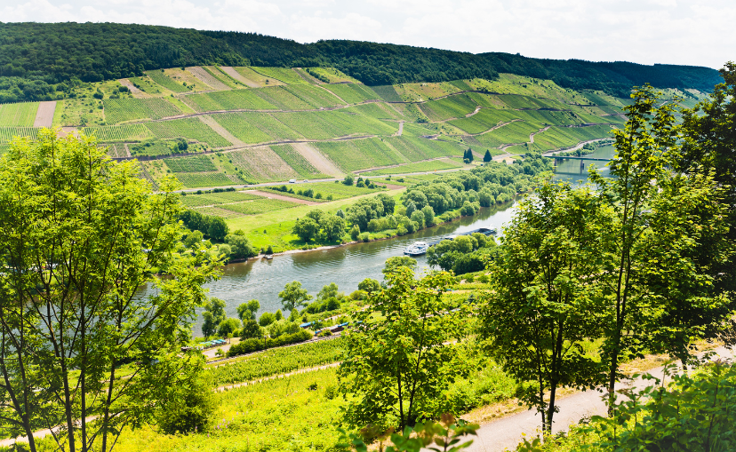 Moselle valley and Mosel river