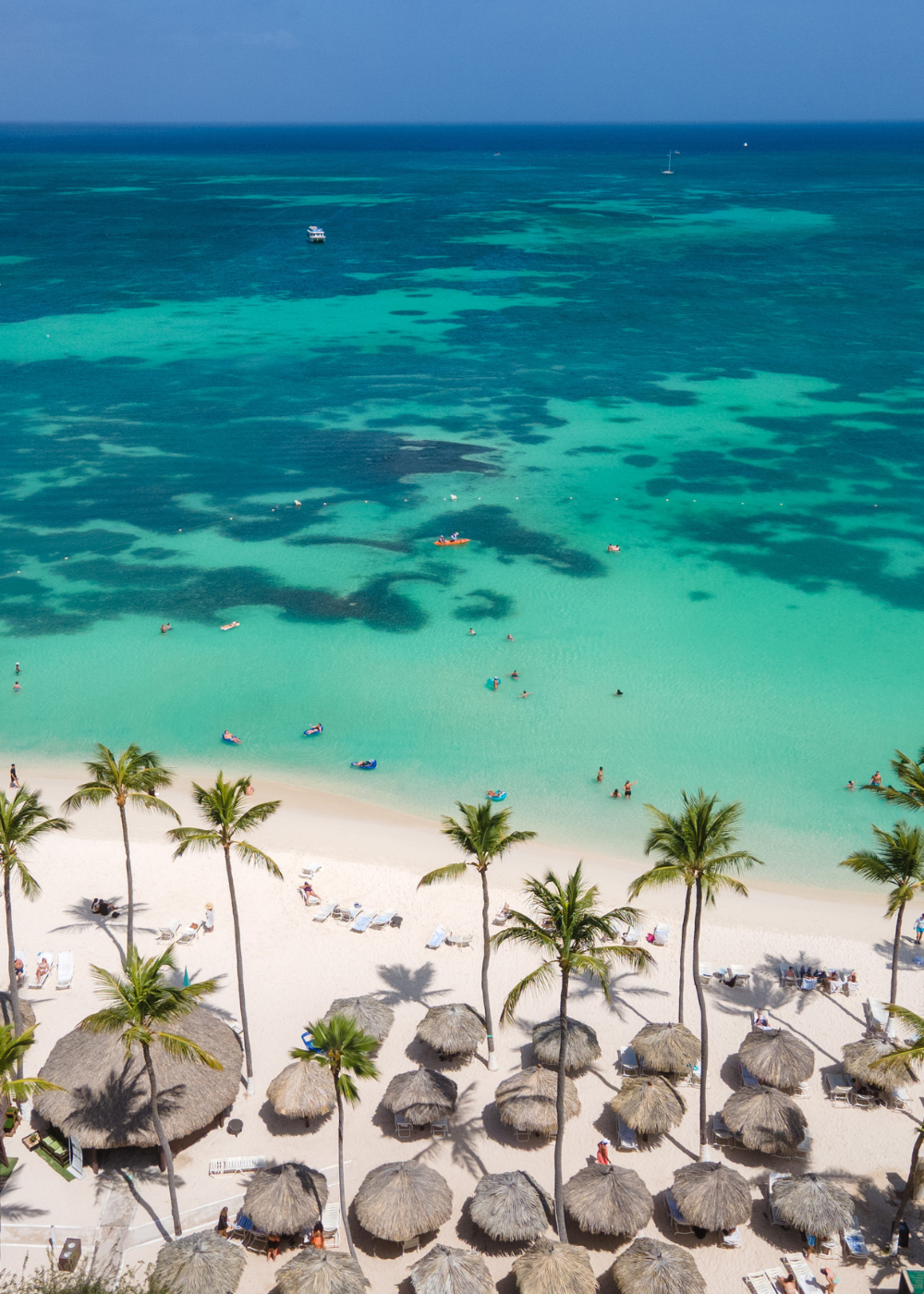 Ariel View Of Palm Beach In Aruba Shows Palm Trees and Straw Huts With Clear Blue Caribbean Waters and a white sandy beach.