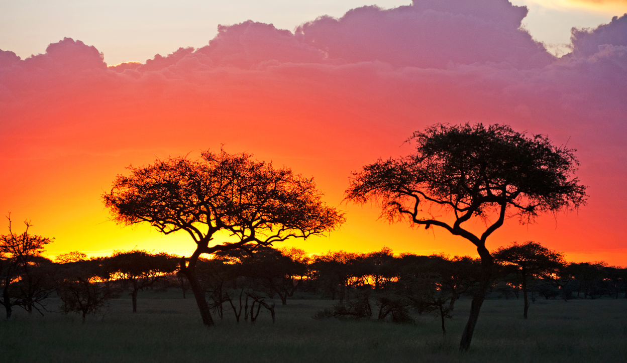 Sunset at Serengeti National Park in Tanzania