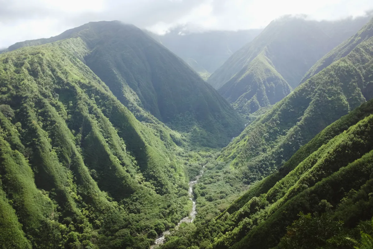 Waihee Ridge Trail trail in the valley of the mountains 