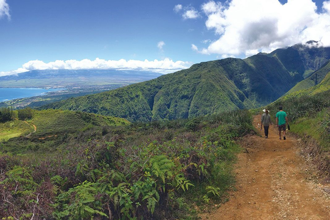 Hillside in Wailuku , Maui