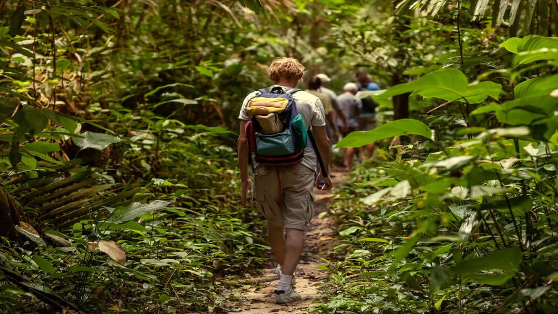 man walking with backpack in a lush green forrest on the Mahana Ridge Trail