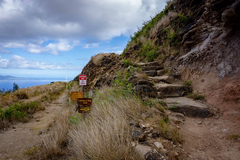 rock steps on the Lahaina Pali Trail with trail signs beside the path