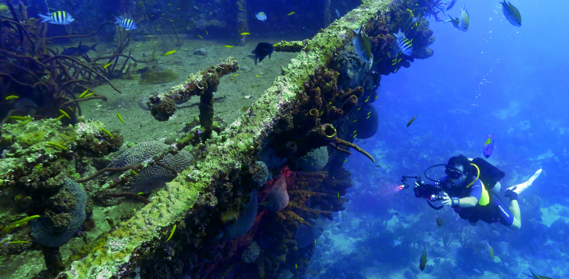 diving an underwater shipwreck 