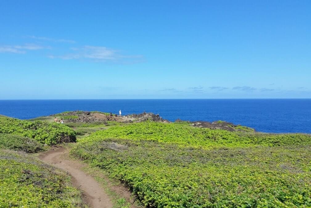 Ohai Trail in West Maui offering great ocean views