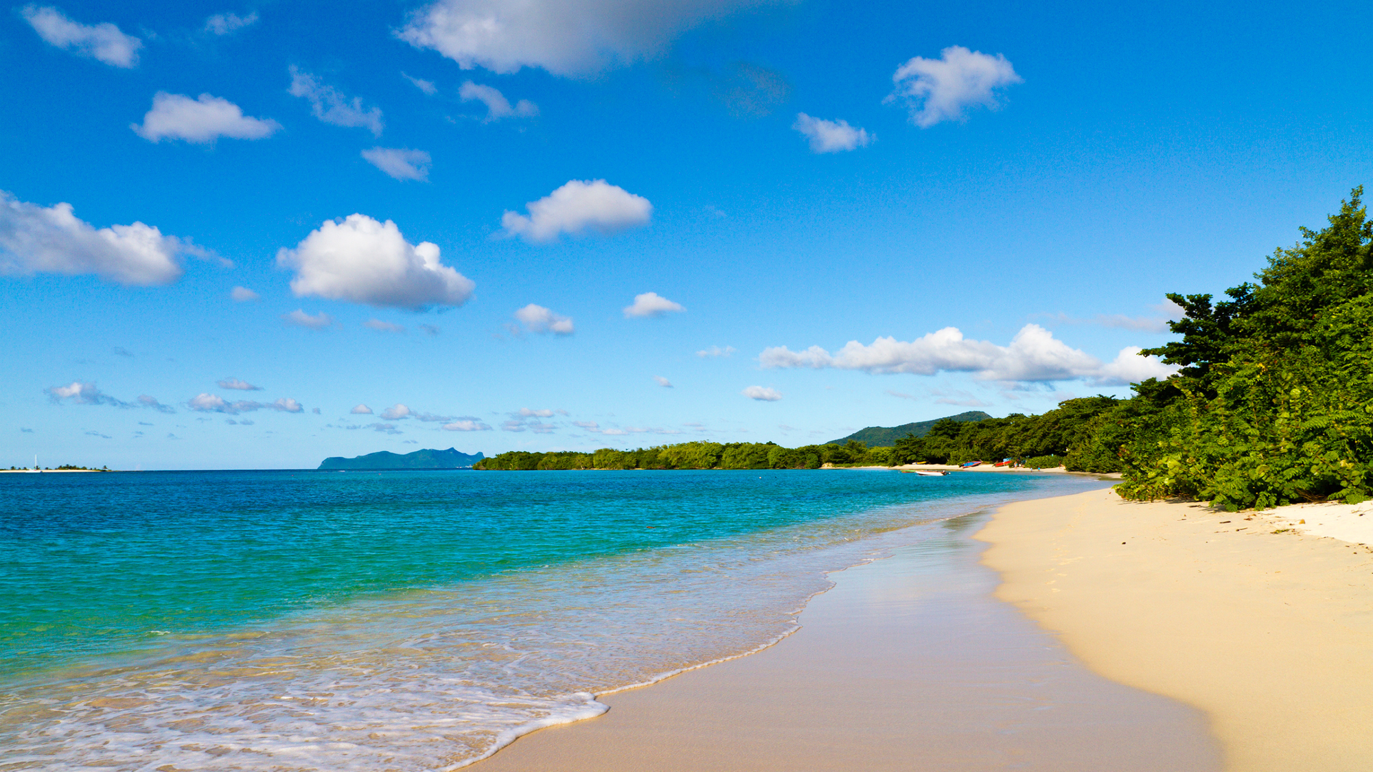 Paradise beach on Carriacou is small but white sand beach with trees all along the beach, and calm pretty blue waters. 