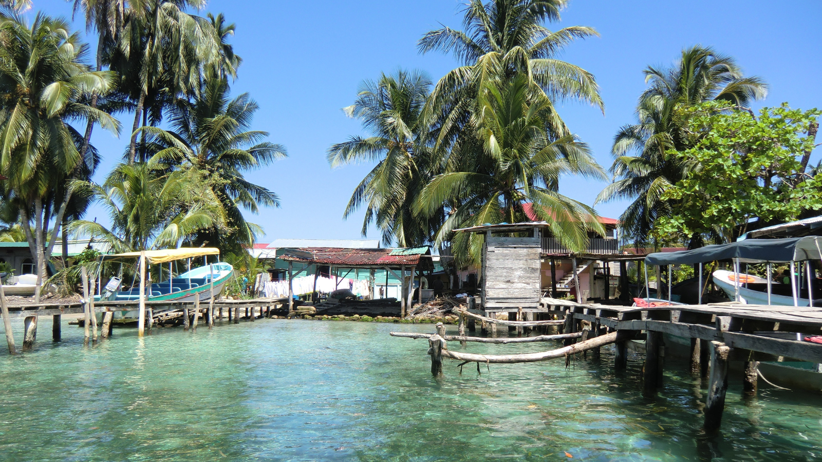 Old wooden boat docks at a small village in Bocas del Toro, Panama with clear waters and palm trees in the background.