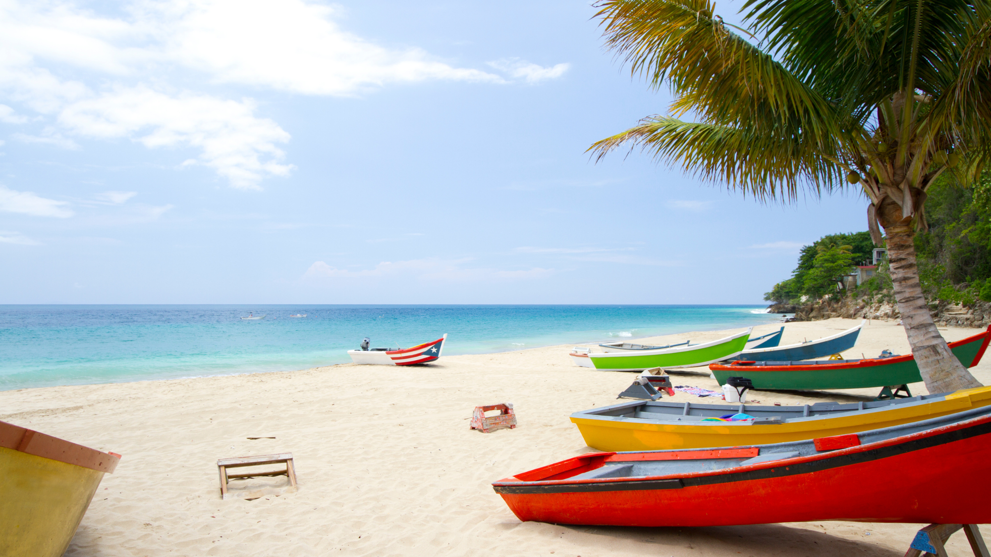 Colorful boats of many colors laying the beach under palm trees on a white sandy beach by the Caribbean sea.