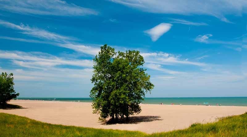 View of a sandy white beach with a few trees that then leads to a beautiful view of Lake Erie at Headlands Beach State Park in Mentor, Ohio.