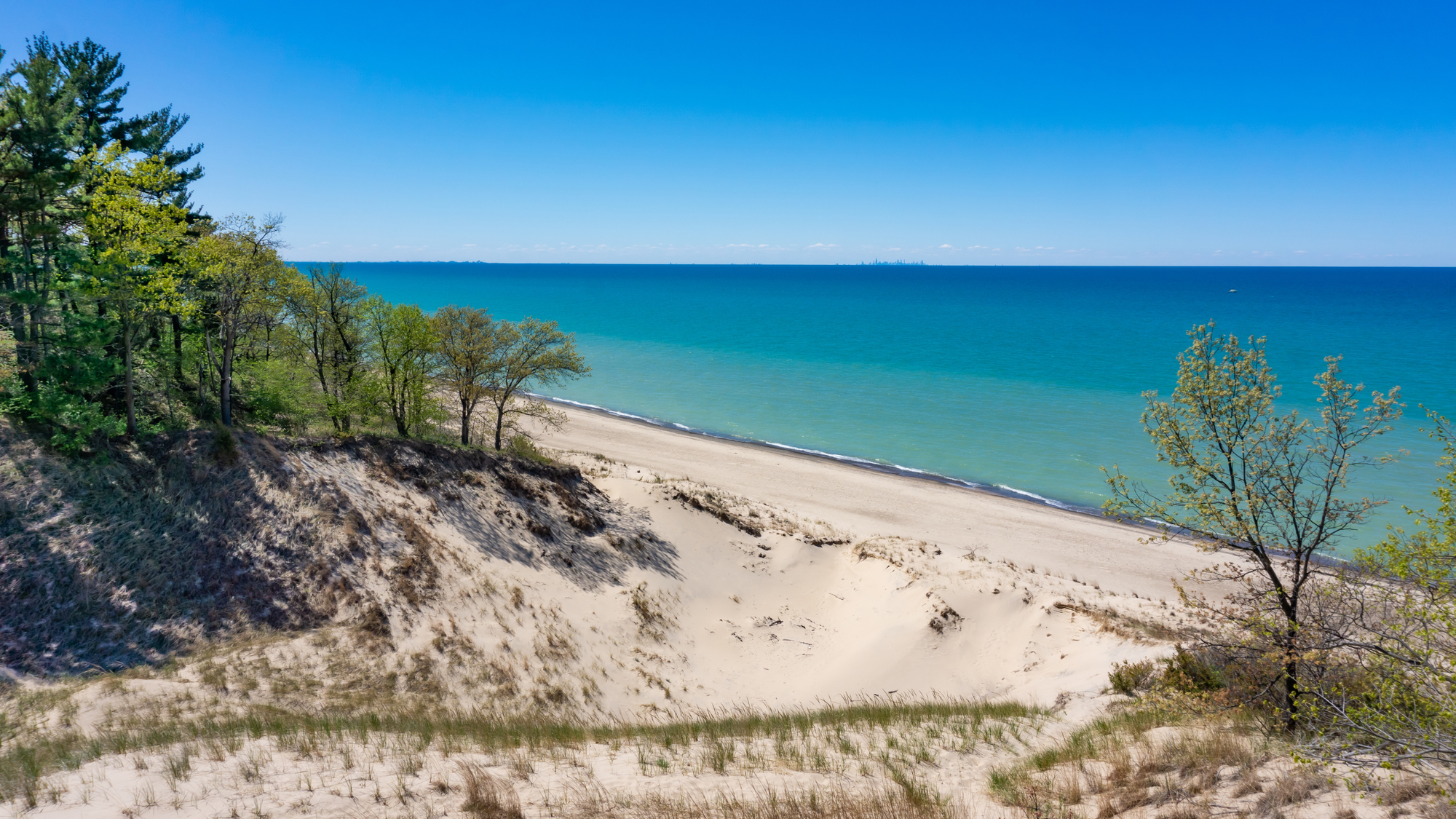 Sandy path lined with trees leading up to a white sandy beach with Caribbean blue clear waters. 