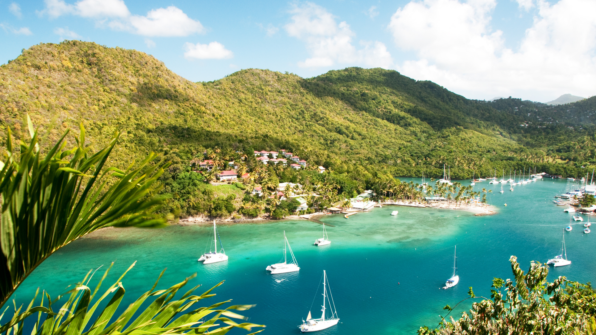 Sailboats anchored in a pristine bay with clear waters surrounded by mountains and small beaches.